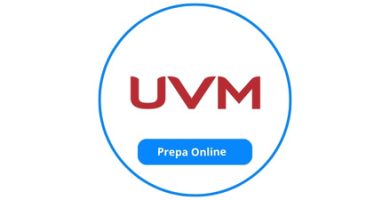 Preparatoria en Linea UVM
